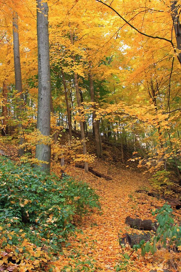 Robert Frost Mountain Cabins Middlebury Kültér fotó