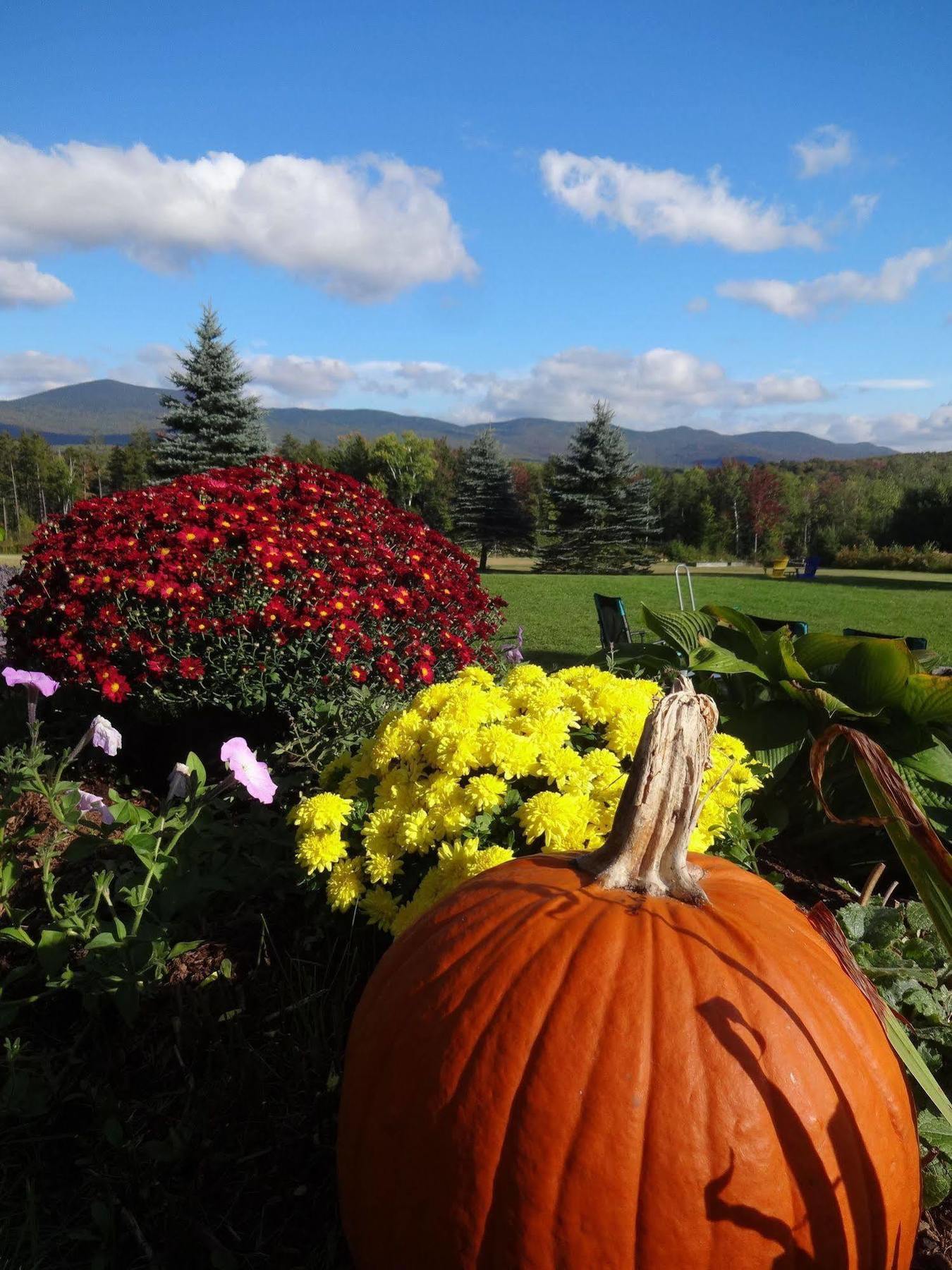 Robert Frost Mountain Cabins Middlebury Kültér fotó