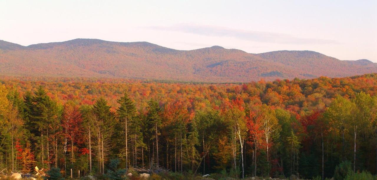 Robert Frost Mountain Cabins Middlebury Kültér fotó